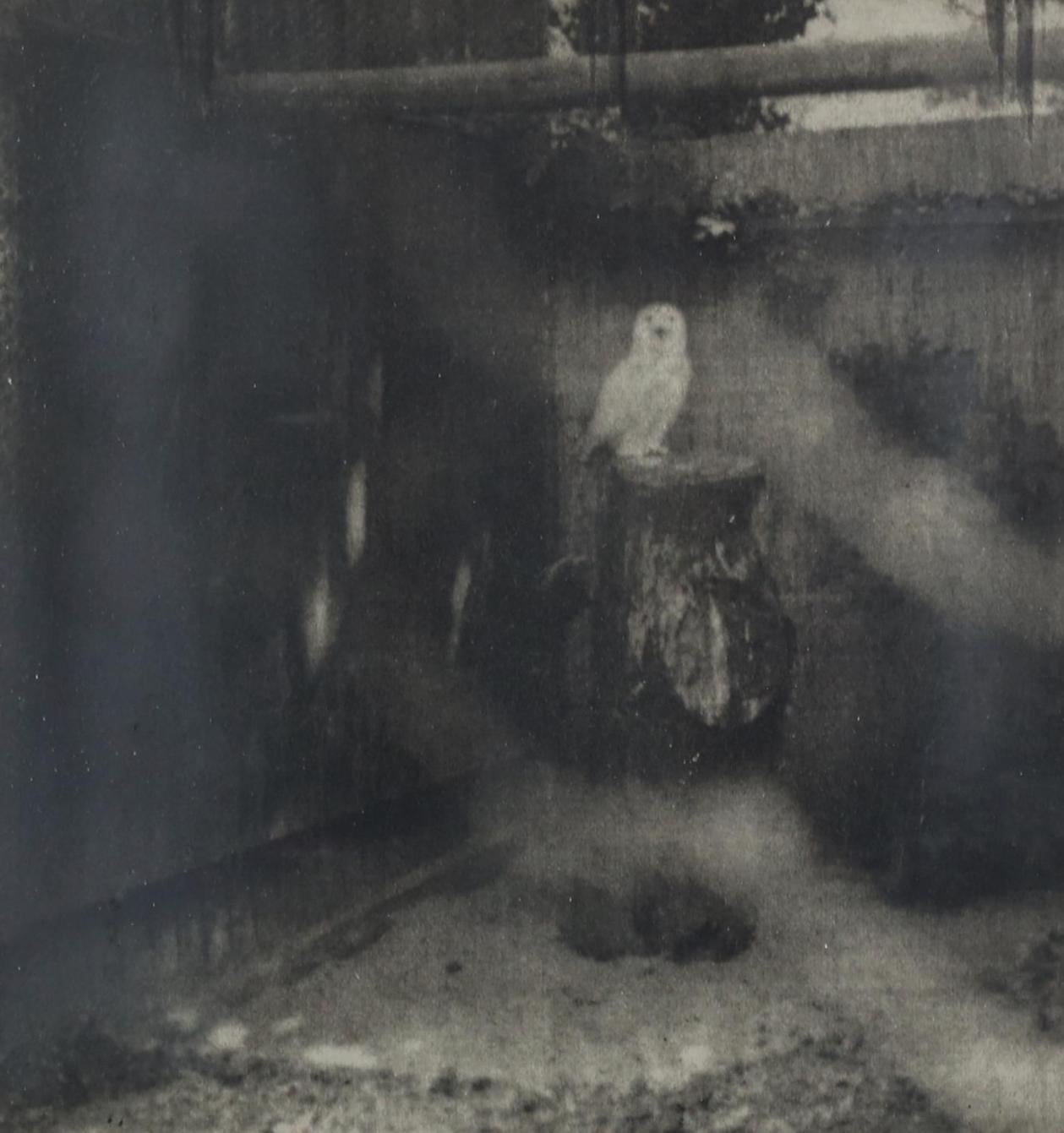Aileen Jampel - Night Time