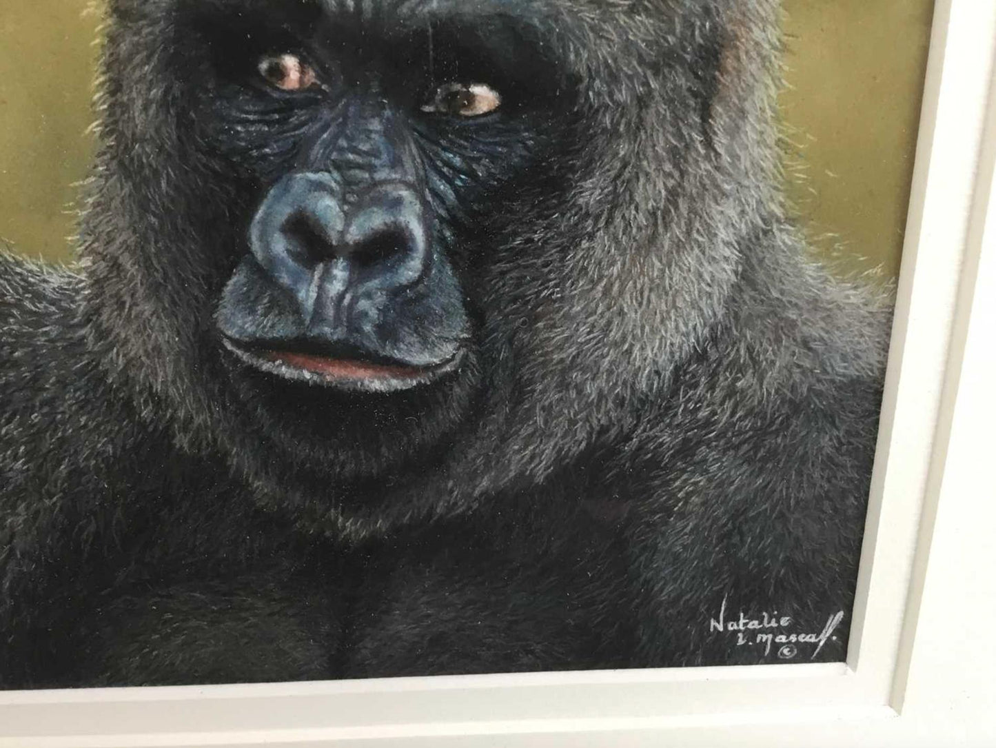 Natalie Mascall - Study of a Gorilla