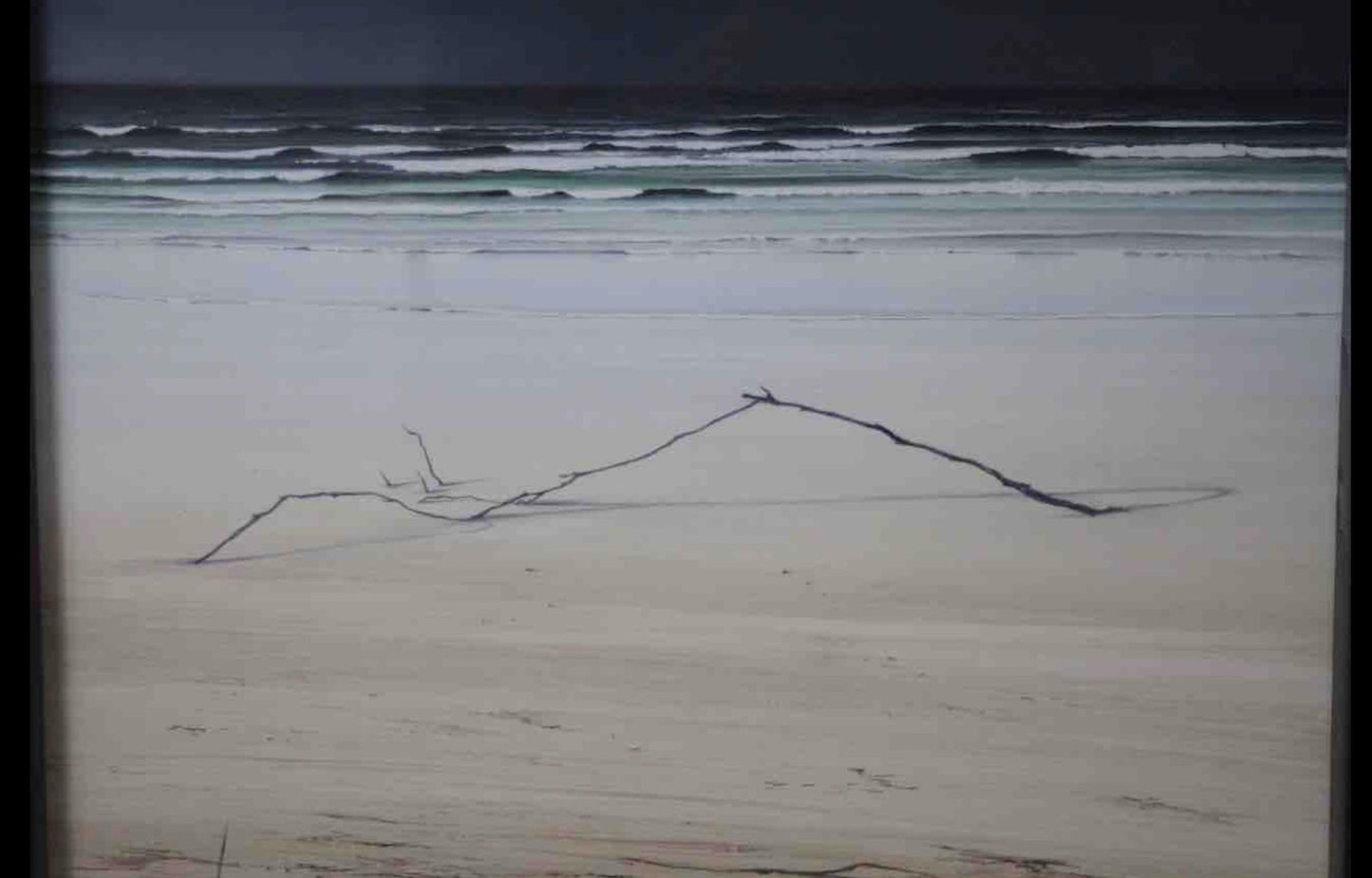 Ceri Auckland Davies - Abandoned Driftwood
