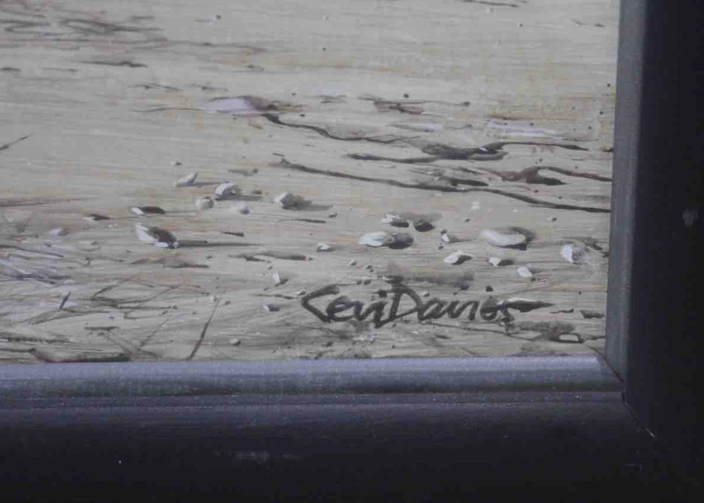 Ceri Auckland Davies - Abandoned Driftwood
