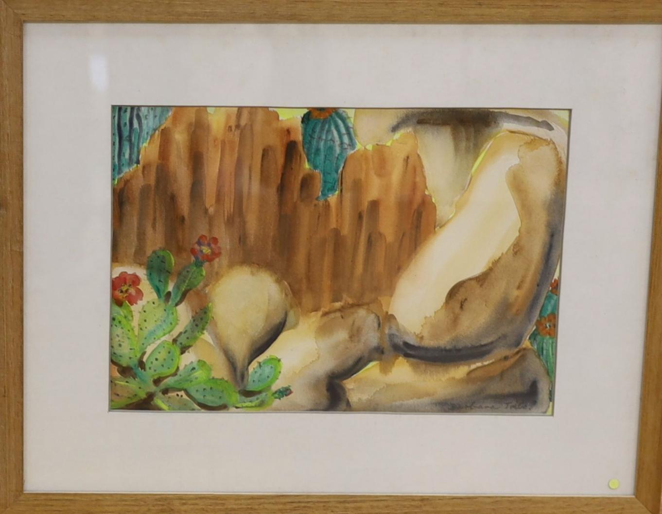 Barbara Tribe - Texas Canyon