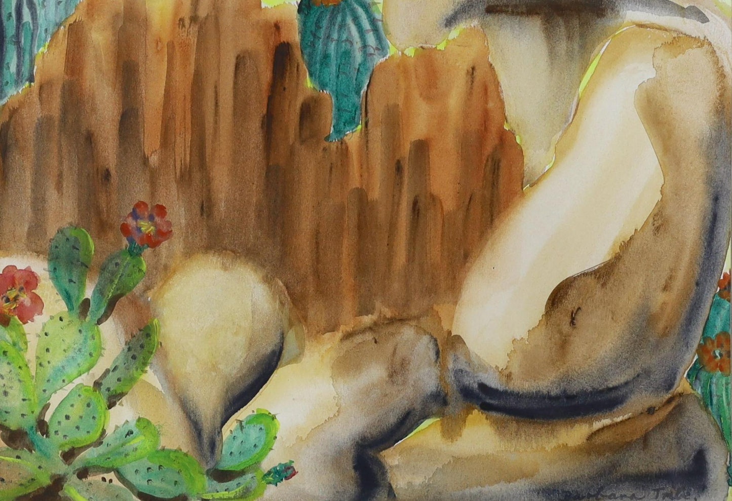 Barbara Tribe - Texas Canyon