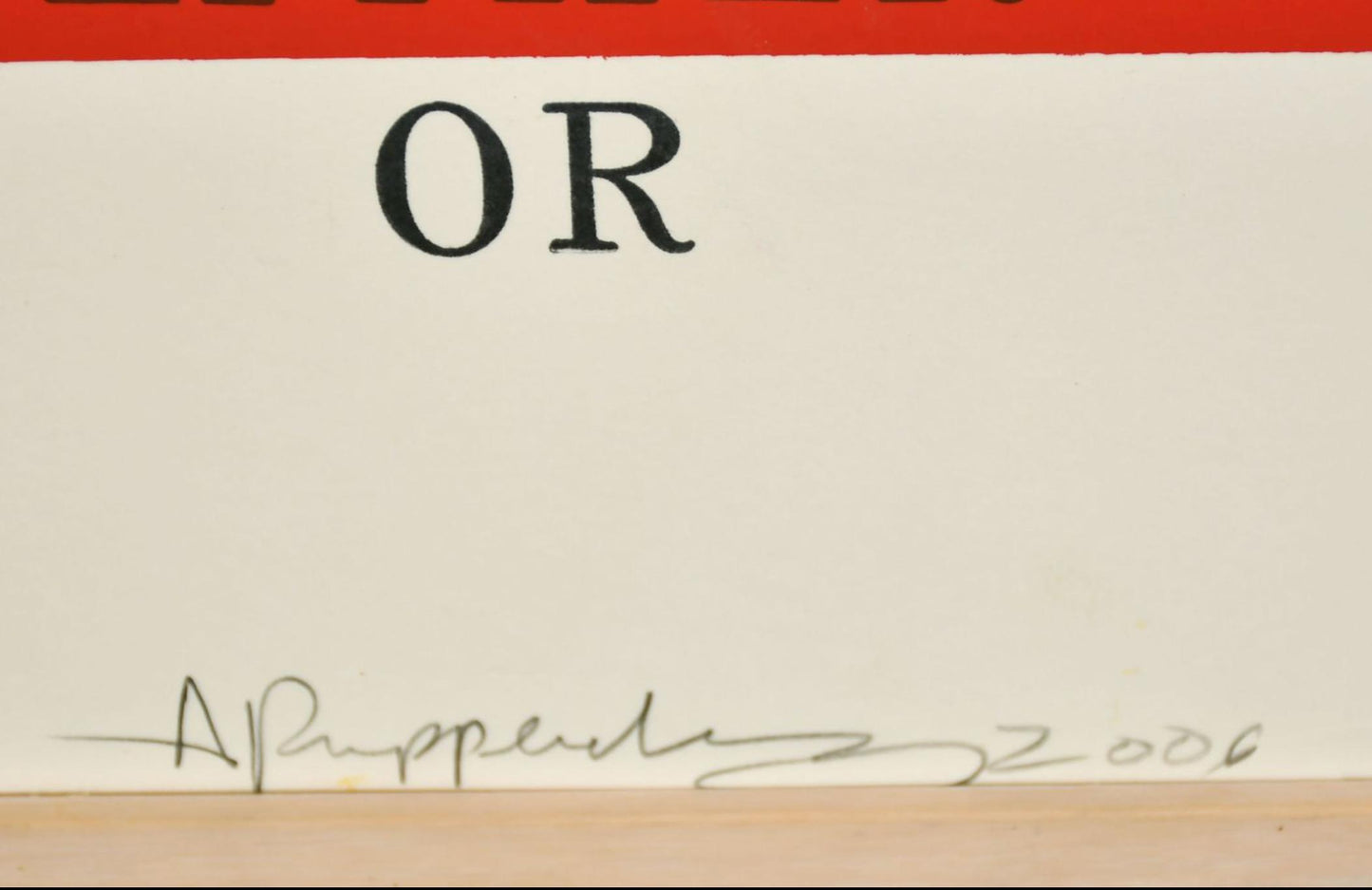 Allen Ruppersberg - Honey, I rearranged the Collection