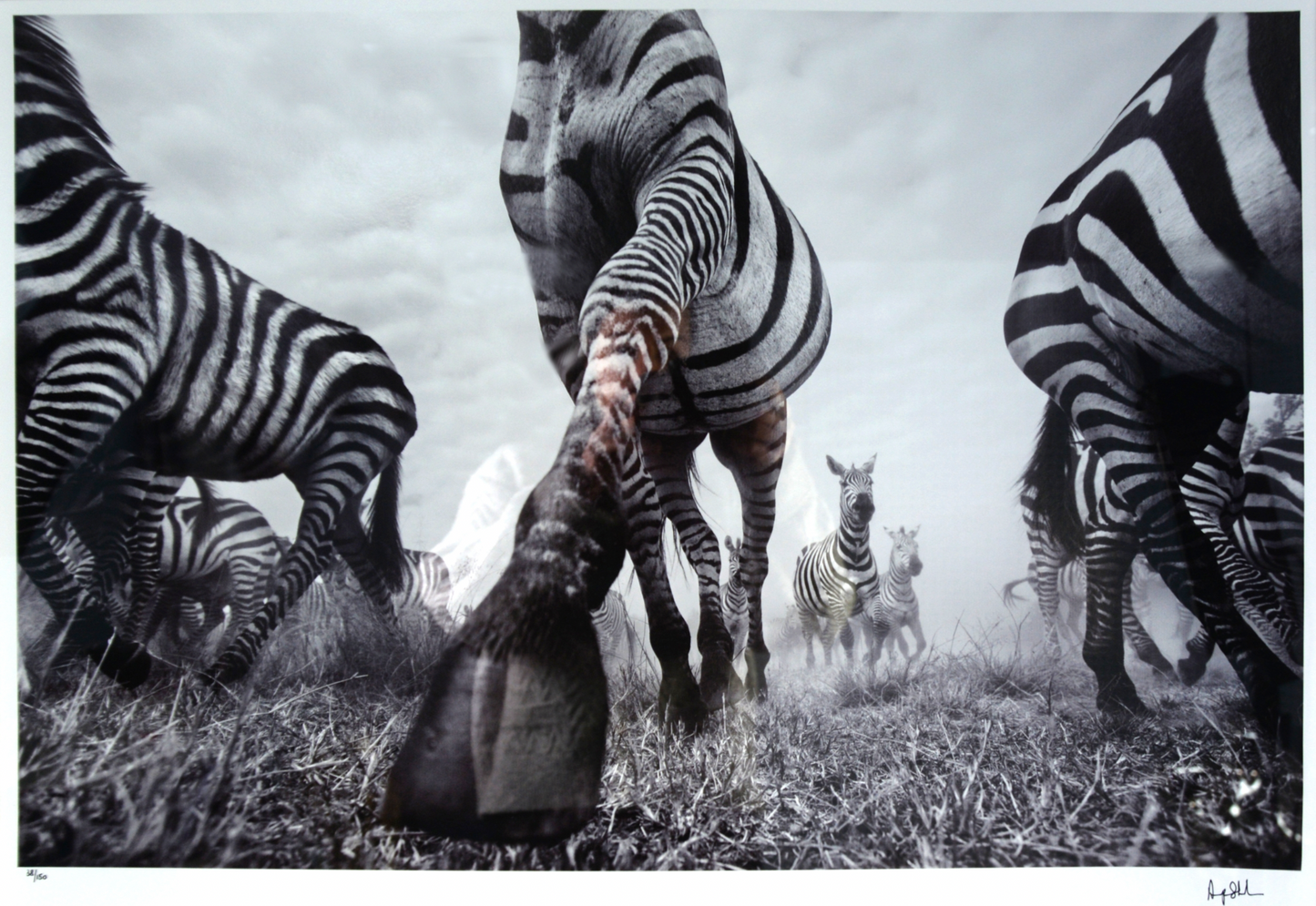 Anup Shah - Onward