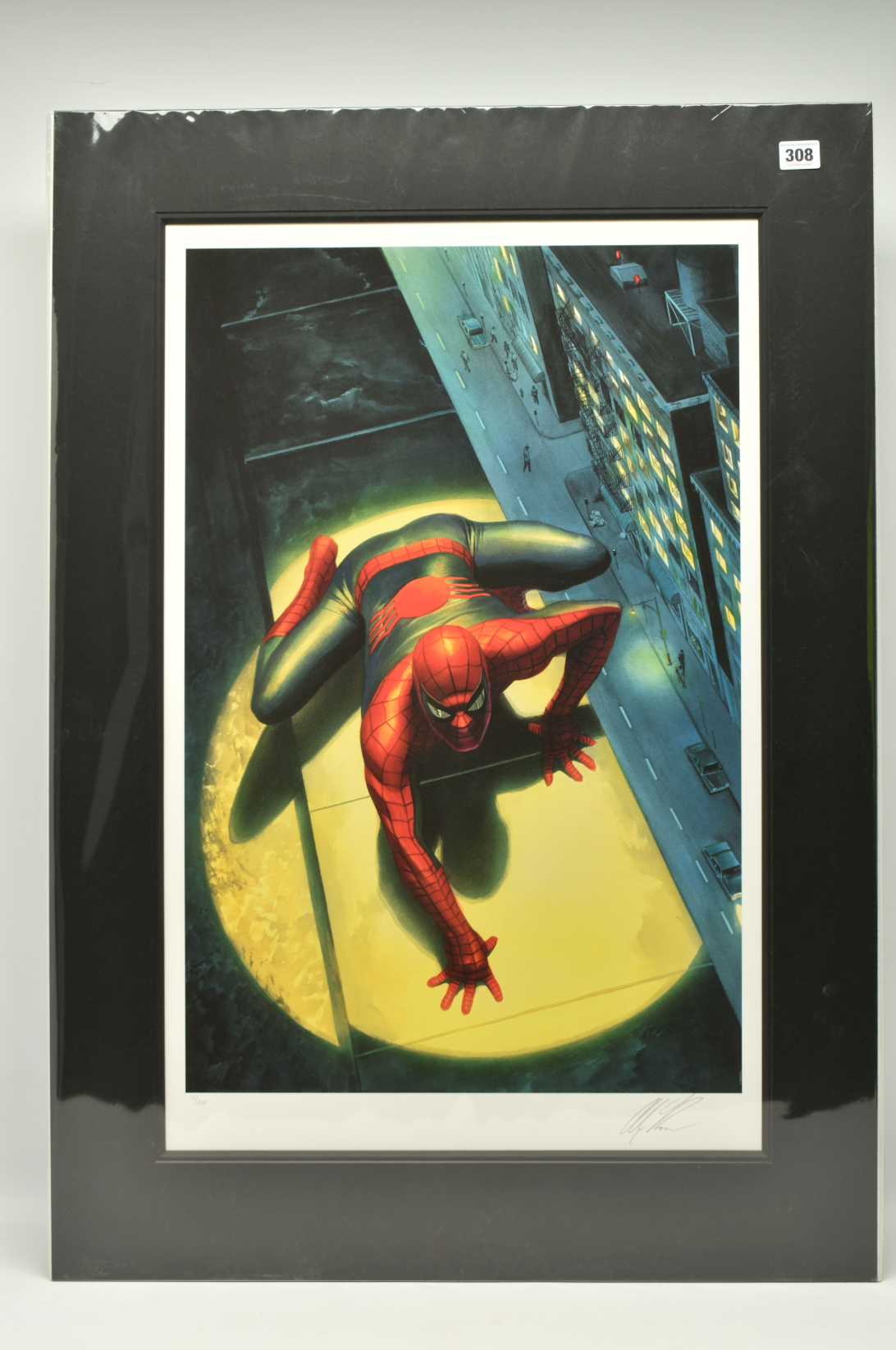Alex Ross - Spectacular Spiderman