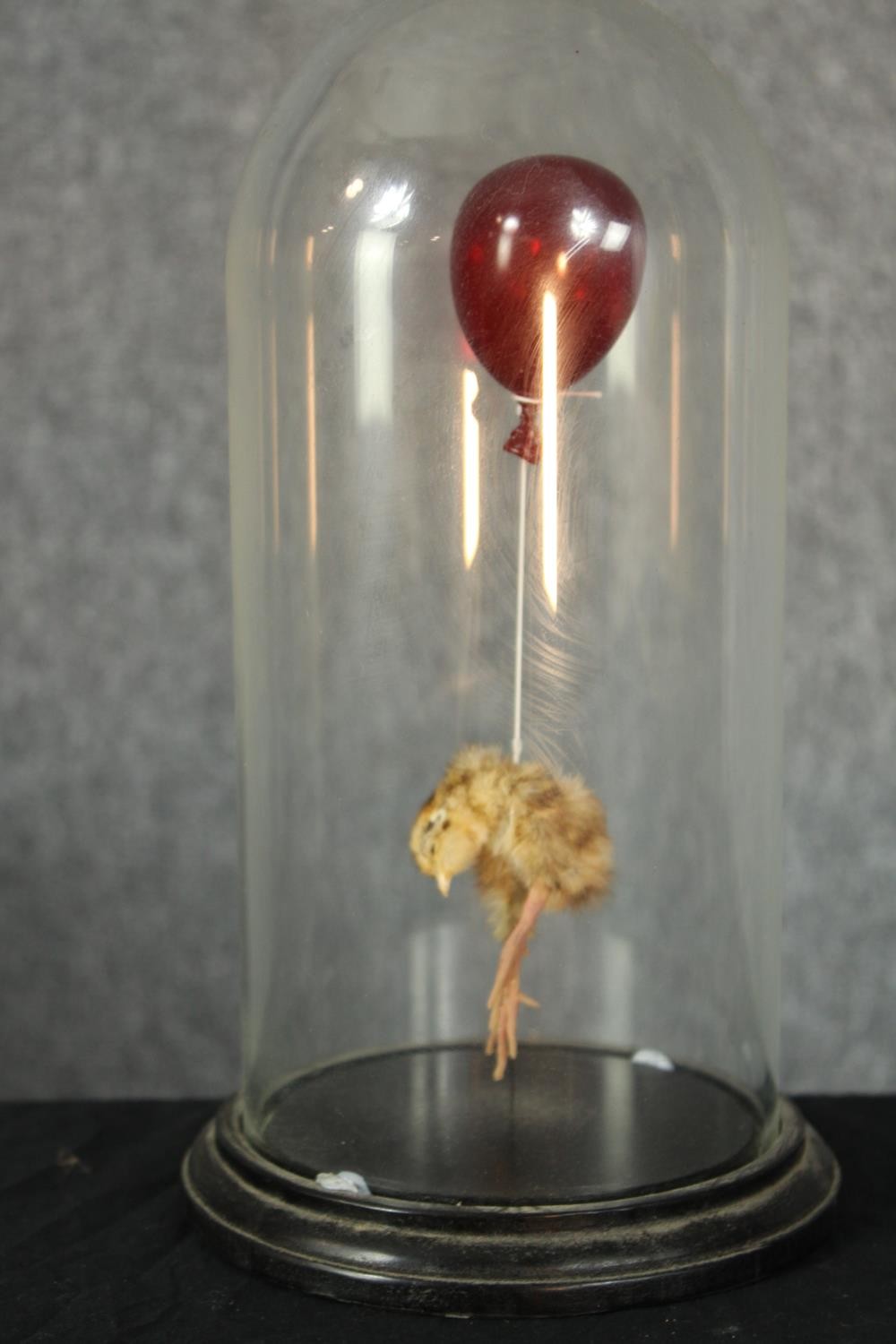 Polly Morgan - Still Birth Taxidermy