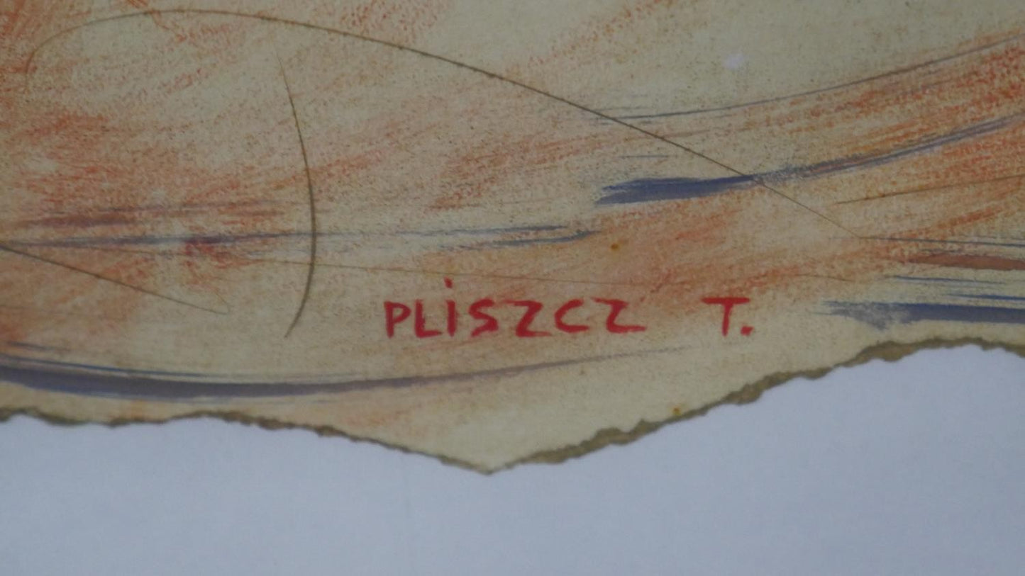 T. Pliszcz - Circus Performers