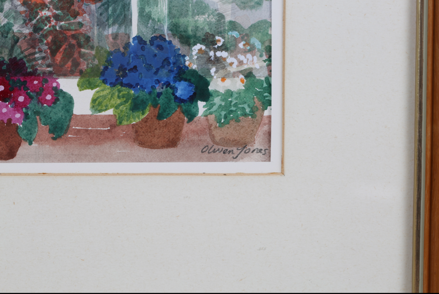 Olwen Jones - Greenhouse Interior