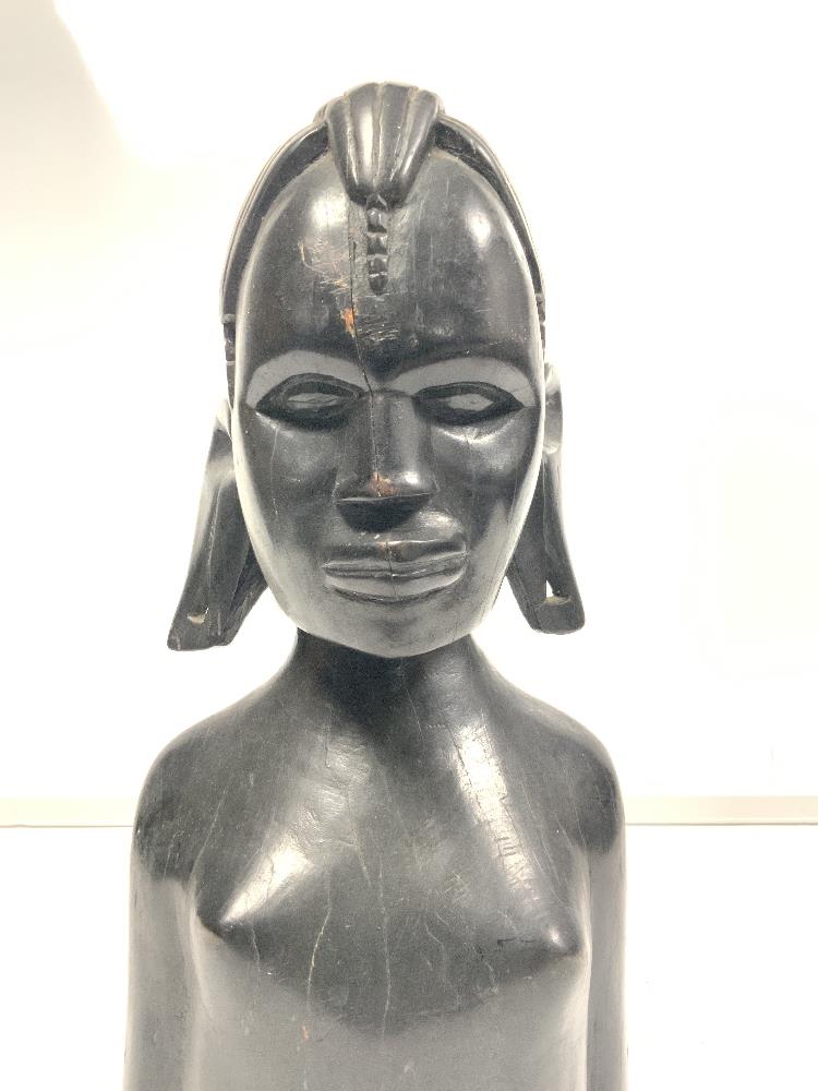 Ebonised bust of a female