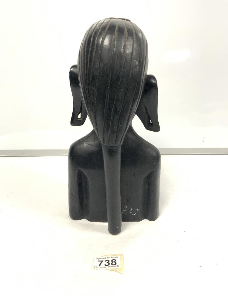 Ebonised bust of a female