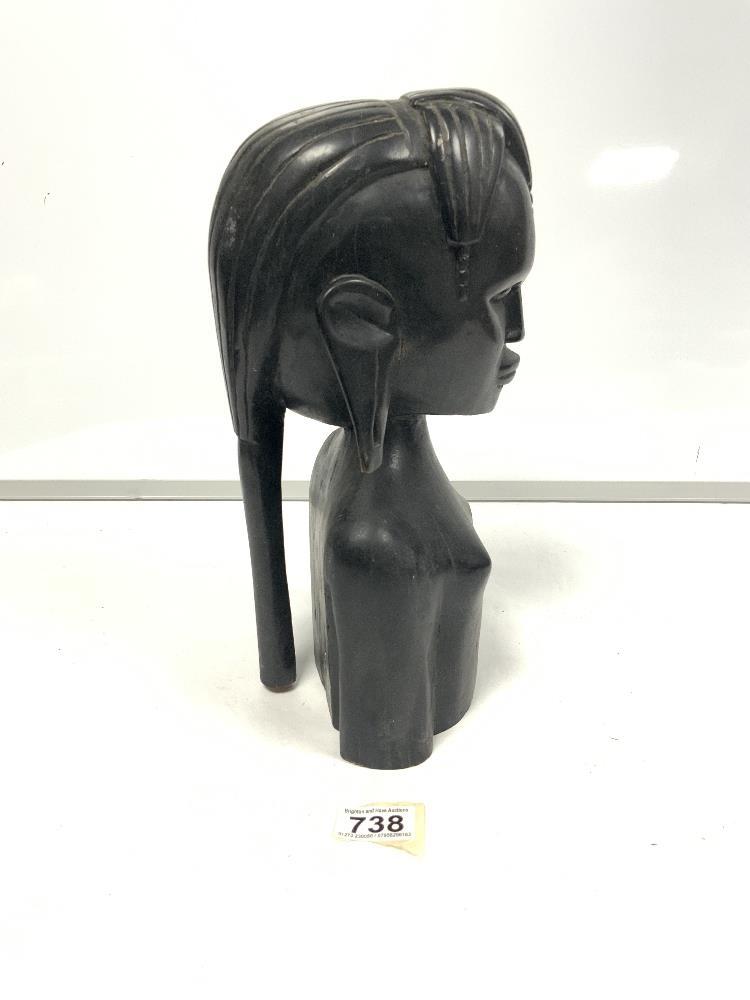 Ebonised bust of a female