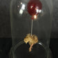 Polly Morgan - Still Birth Taxidermy
