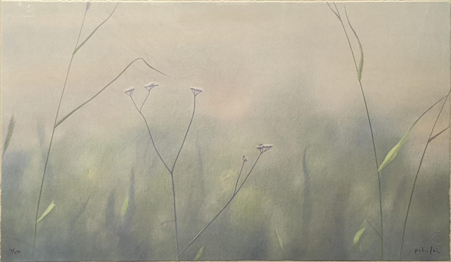 Peter Frie - 3 x floral limited edition lithographs
