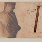 Naomi Frears - Inside Out