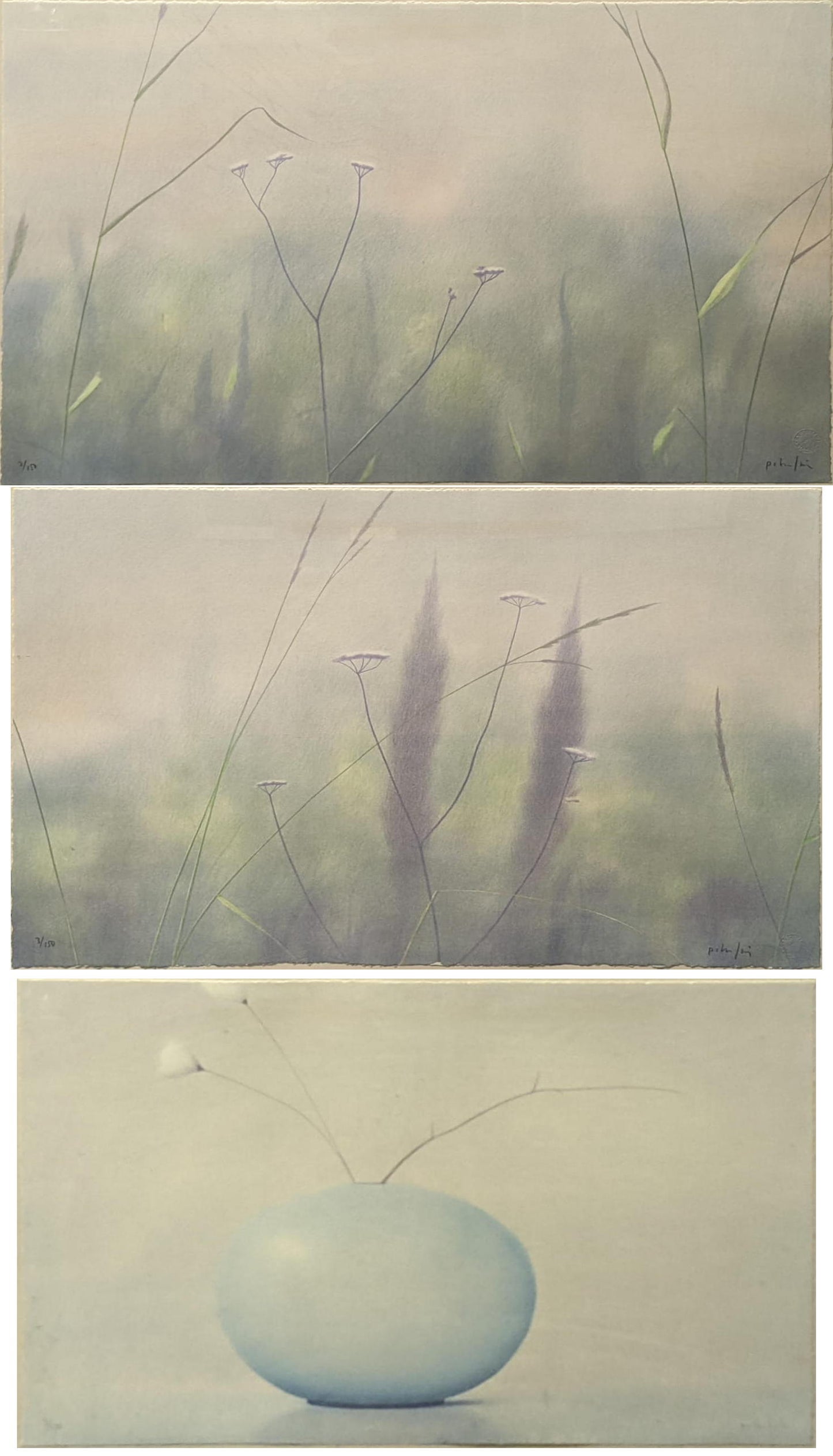 Peter Frie - 3 x floral limited edition lithographs