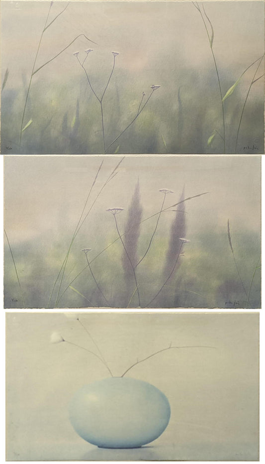 Peter Frie - 3 x floral limited edition lithographs