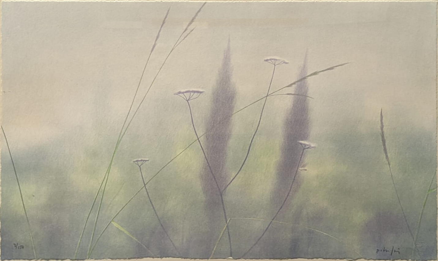 Peter Frie - 3 x floral limited edition lithographs