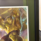 Alex Ross - Immortal Hulk