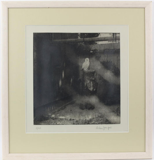 Aileen Jampel - Night Time