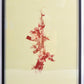 Merone - Untitled. Signed limited edition  framed print.
