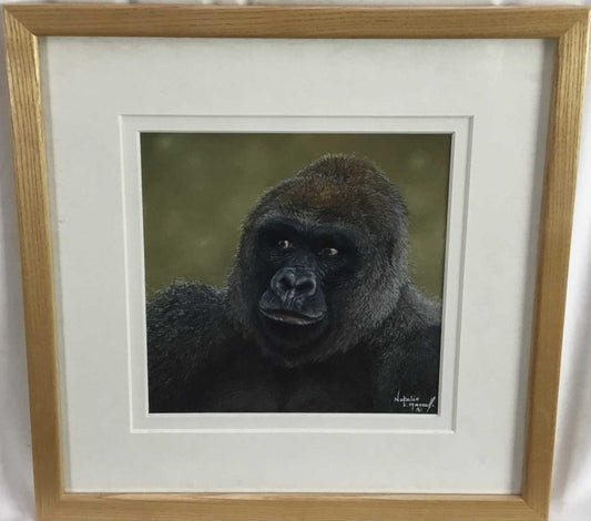 Natalie Mascall - Study of a Gorilla