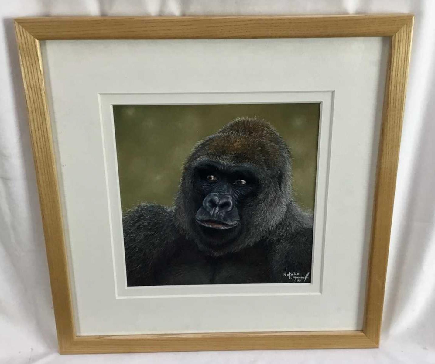 Natalie Mascall - Study of a Gorilla