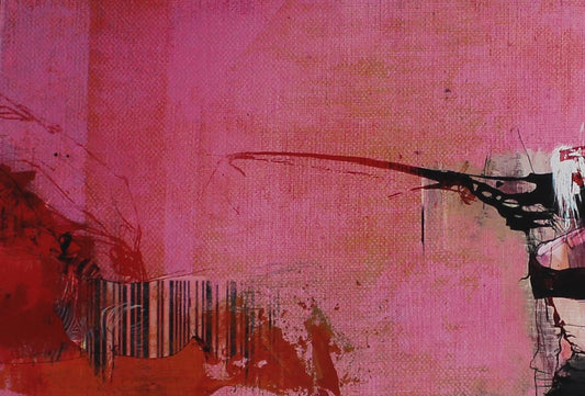 Ian Francis - Madagasca