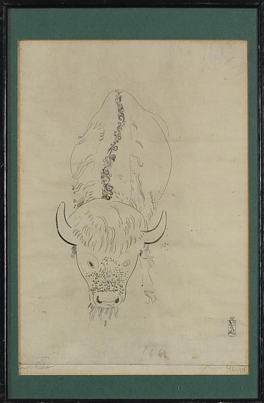 Joseph Hecht - Portrait of a bull
