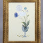 Michael Ffolkes - Still life study of flowers