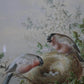 Harry Bright - Bullfinches with their nest
