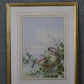Harry Bright - Bullfinches with their nest