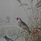 Harry Bright - Goldfinches in a wheat field