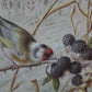 Harry Bright - Goldfinches in a wheat field