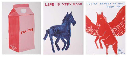 David Shrigley - People expect so much from me, Life is very good, Truth