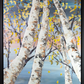 Maya Eventov - Reaching for the Sky