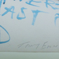 Tracey Emin - I Am The Last Of My Kind