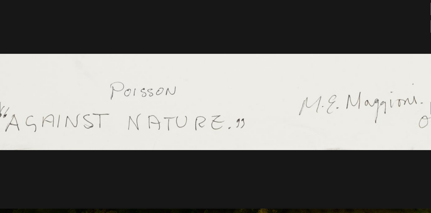 Marco Maggioni - Against Nature