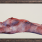Xinyi Feng - Nude Watercolours