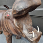 Leather Hippo