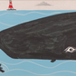 Steve Camps - Whale With A Friendly Seal Acrylic on board