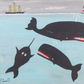 Steve Camps - Two Whales and Jake the Mystified Narwhale