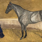 Collender Goldsmith - A grey horse in a stable