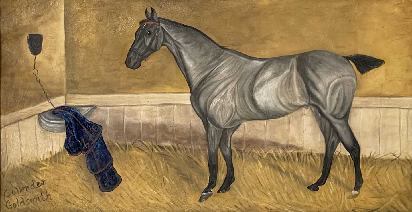 Collender Goldsmith - A grey horse in a stable