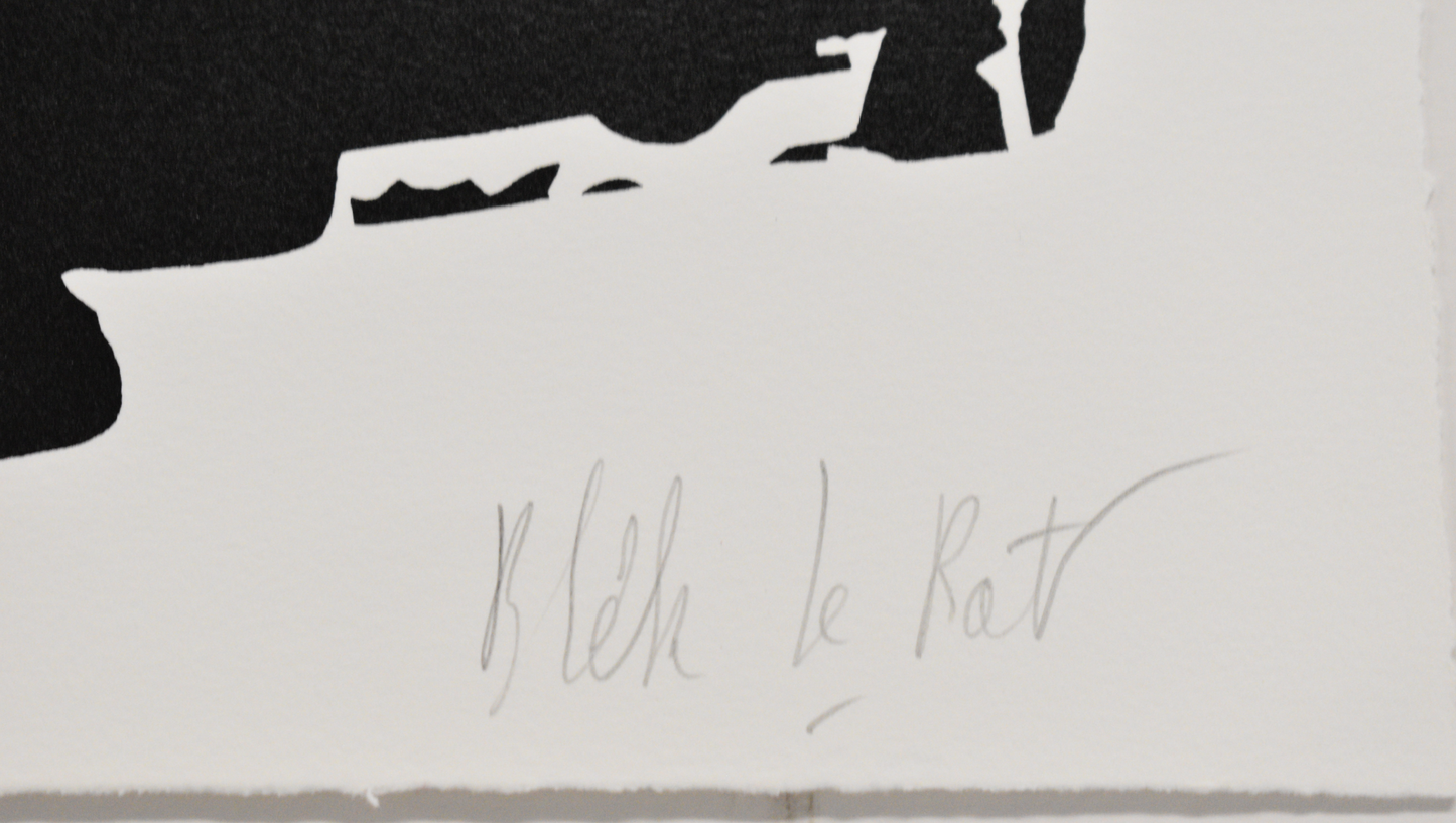 Blek le Rat - The Man Who Walks Through Walls