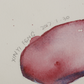 Xinyi Feng - Nude Watercolours