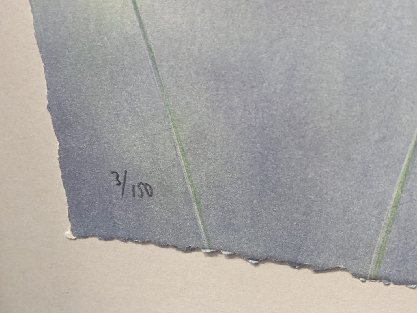 Peter Frie - 3 x floral limited edition lithographs