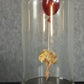 Polly Morgan - Still Birth Taxidermy
