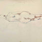 Henry Richard Bird - 4 drawings titled Sleeping Nude