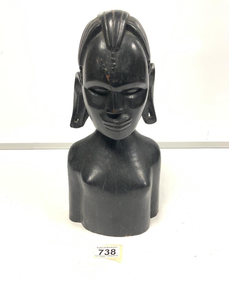 Ebonised bust of a female