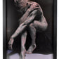 Tomiak - Genus Signum Series 5